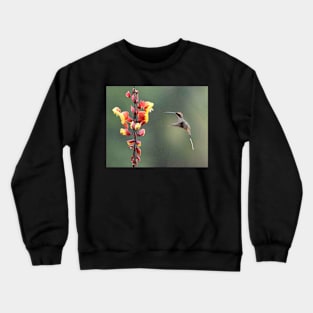 Hummingbird and two-tone flower Crewneck Sweatshirt
